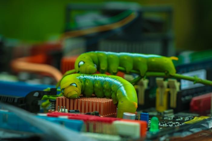 Worm, computer, virus, Big green worm Malicious computer.