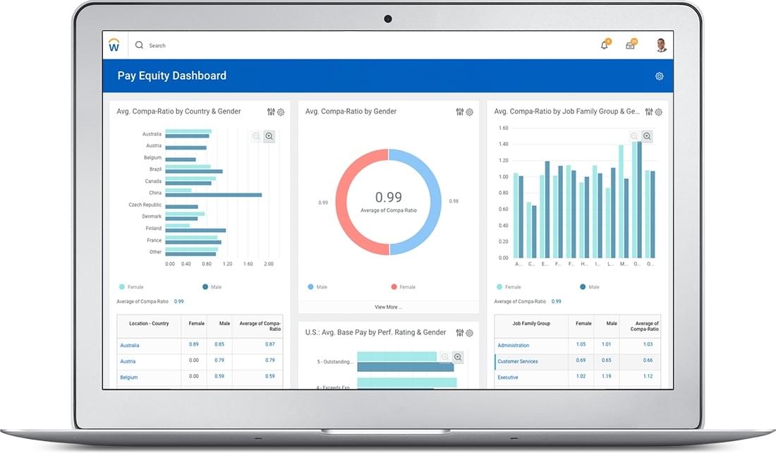 Screenshot of Workday Pay Equity dashboard.