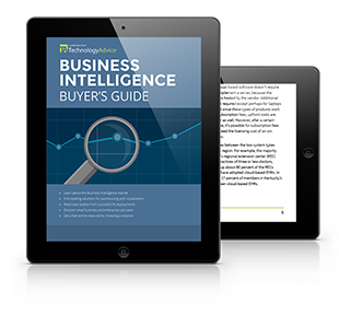 Business Intelligence Software Buyers Guide PDF inside iPad