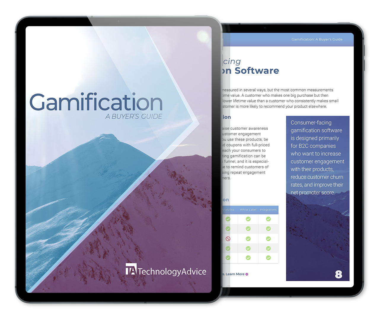 Gamification Buyer's Guide