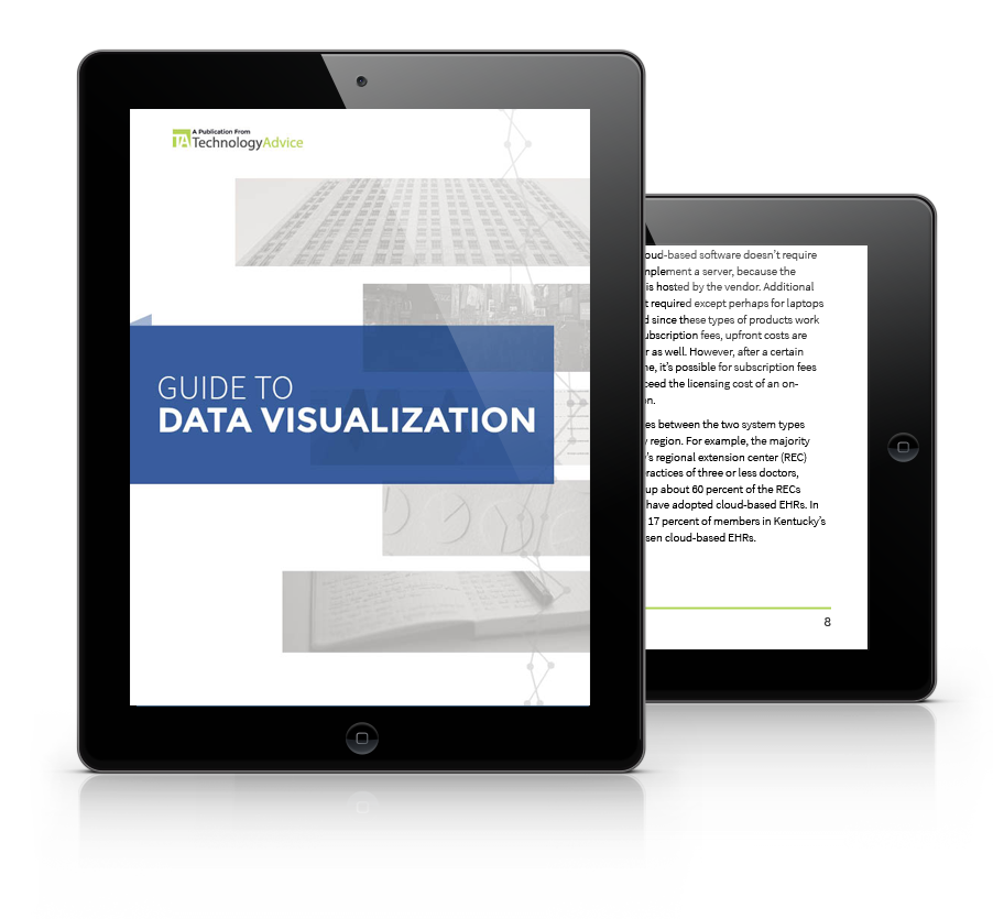 Data Visualization Buyer's Guide PDF inside iPad